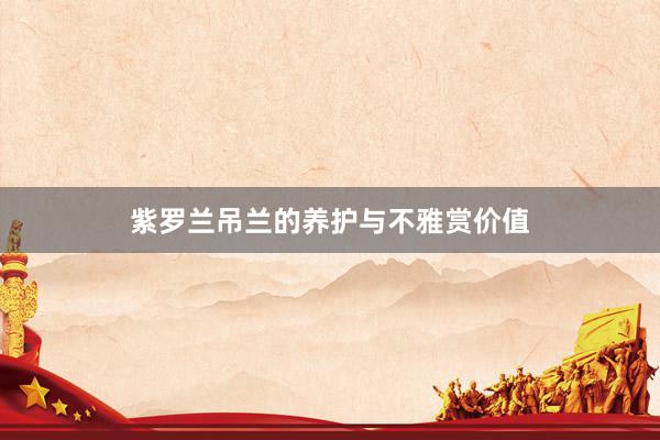 紫罗兰吊兰的养护与不雅赏价值