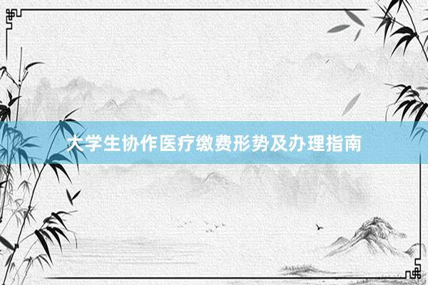大学生协作医疗缴费形势及办理指南