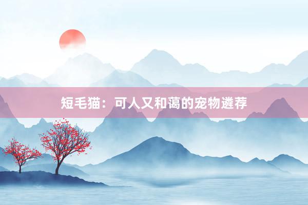 短毛猫：可人又和蔼的宠物遴荐